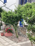 Anaxos Garden