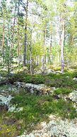 Eräjärven Eerola