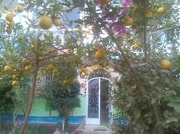 Luxor Guest House