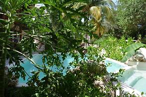 Casa Iguana Holbox