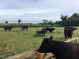 Marsh Farm