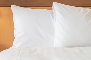 Holiday Inn Tianjin Wuqing