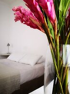 Distrito Condesa Rooms and Studios