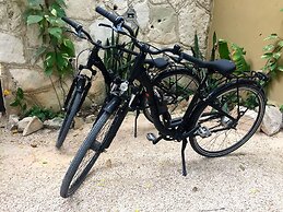 In the Heart of Tulum Town