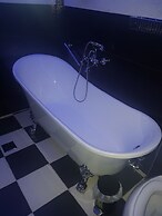 Avi's place