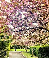 Iveagh Garden Hotel
