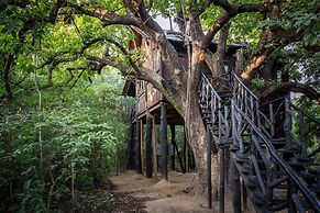 Pugdundee Safaris- Tree House Hideaway