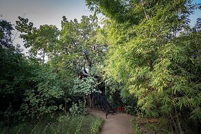 Pugdundee Safaris- Tree House Hideaway