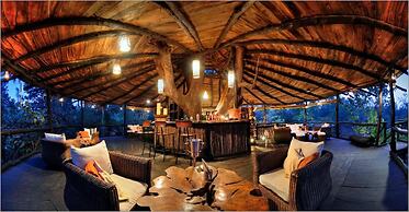 Pugdundee Safaris- Tree House Hideaway