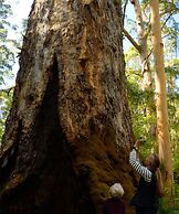 WA Wilderness