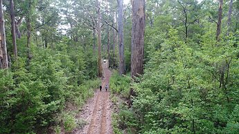 WA Wilderness