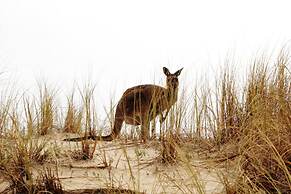 WA Wilderness