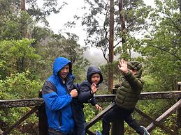WA Wilderness
