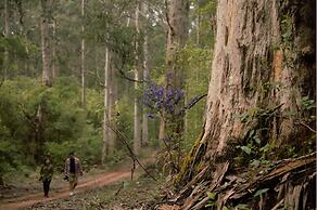 WA Wilderness