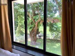 Monarch suites