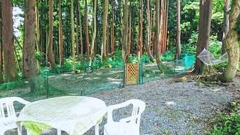 Allumeur