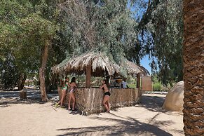 Sindbad Club
