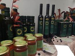 Cerchio Verde