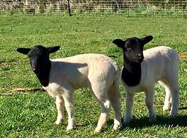 Manna Hill Farm