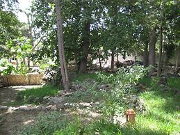 Tzikin Jaay