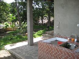 Tzikin Jaay