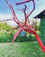 Grenadine Lodge
