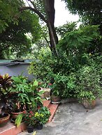 Many Trees