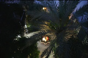 Riad Ifoulki