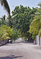 Asaa View