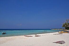 Asaa View