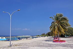 Asaa View