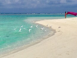 Beach Veli