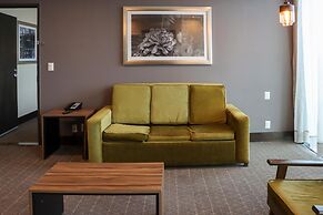 Hilton Garden Inn Aguascalientes