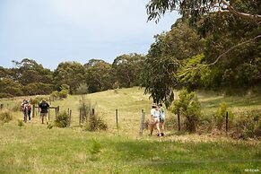 Bimbi Park - Camping Under Koala