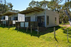 Bimbi Park - Camping Under Koala