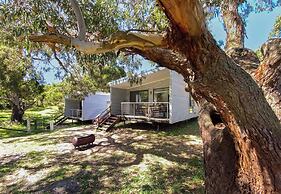 Bimbi Park - Camping Under Koala