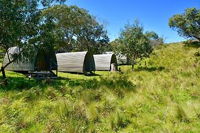 Bimbi Park - Camping Under Koala