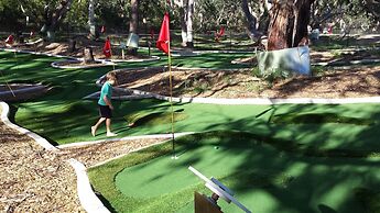 Bimbi Park - Camping Under Koala