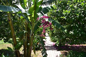 Lemon Garden Lodge