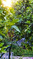 Lemon Garden Lodge