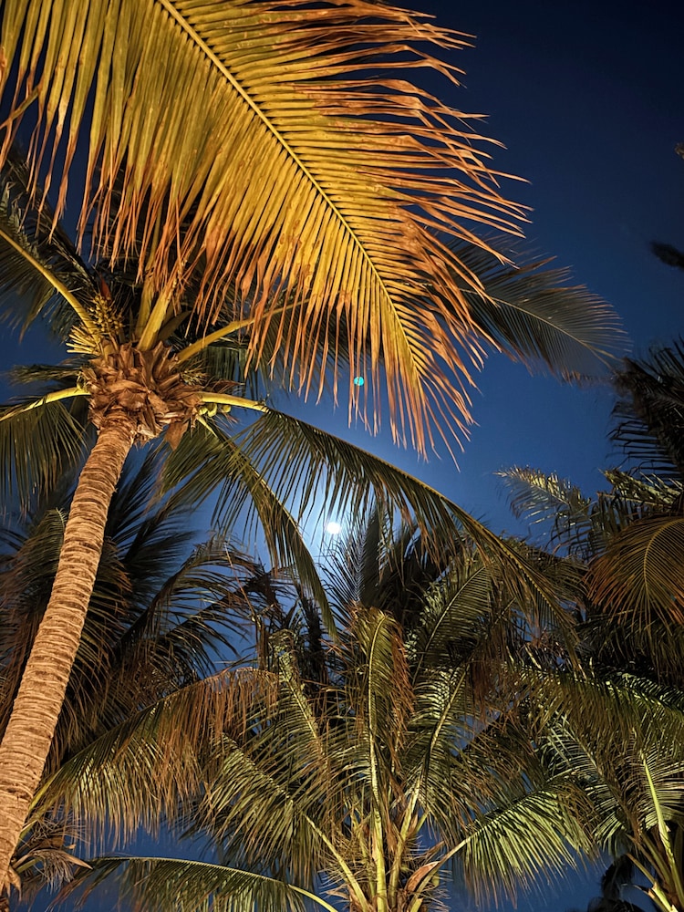La Diosa Kali Beach Front Hotel