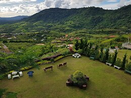 Tonkho at Home