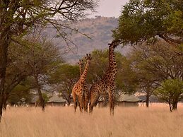 One Nature Nyaruswiga Serengeti