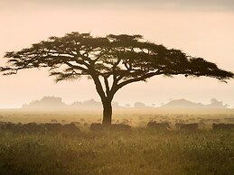 One Nature Nyaruswiga Serengeti