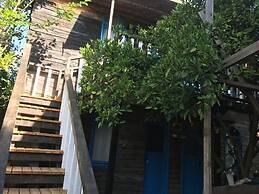 Tahtavilla