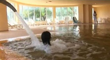 Zephir Hotel & Spa