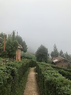 Cabañas y Suites Sergia Torres
