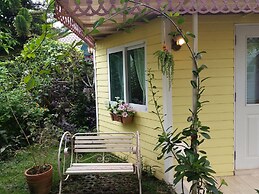 Hello Sunny Home