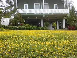 Baan Auemdao Resort