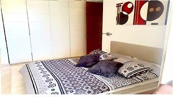 Raphael Apartments